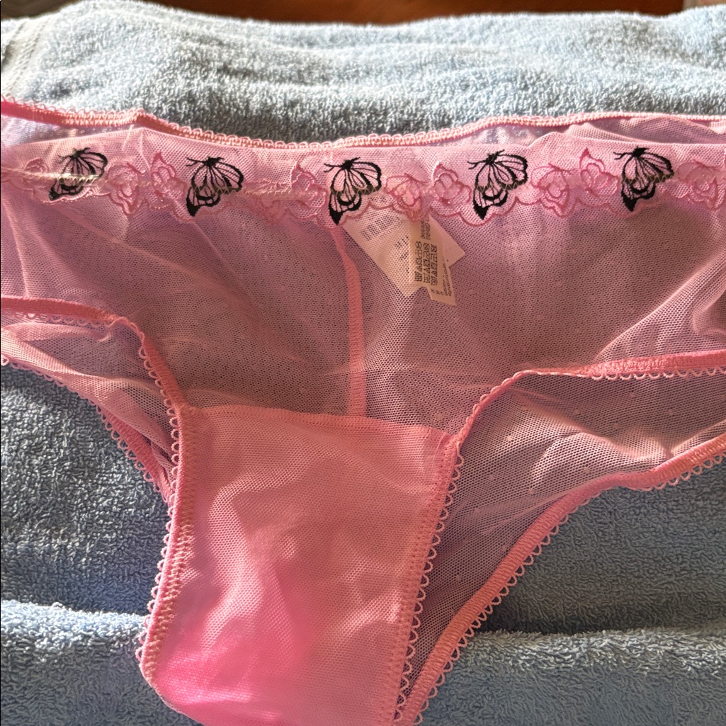 494 Pink Victorias Secret Mesh Cheeky Panty